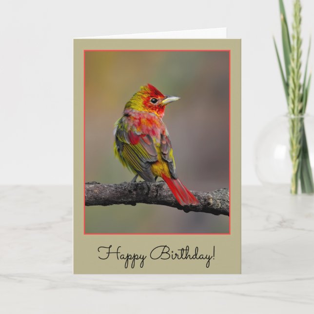 Scarlet Tanager-formning - originalfoto Kort (Framsida)