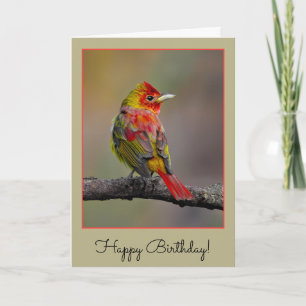 Scarlet Tanager-formning - originalfoto Kort