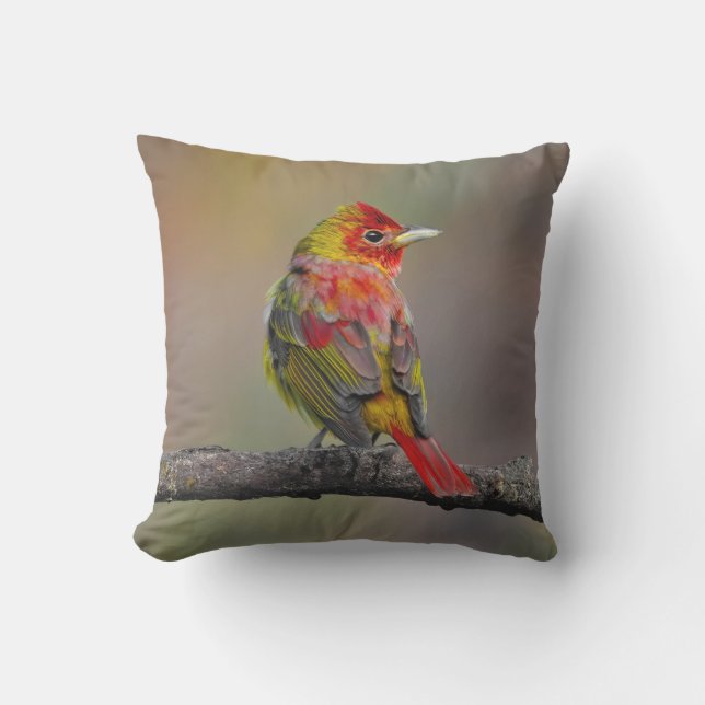 Scarlet Tanager-formning - originalfoto Kudde (Framsida)