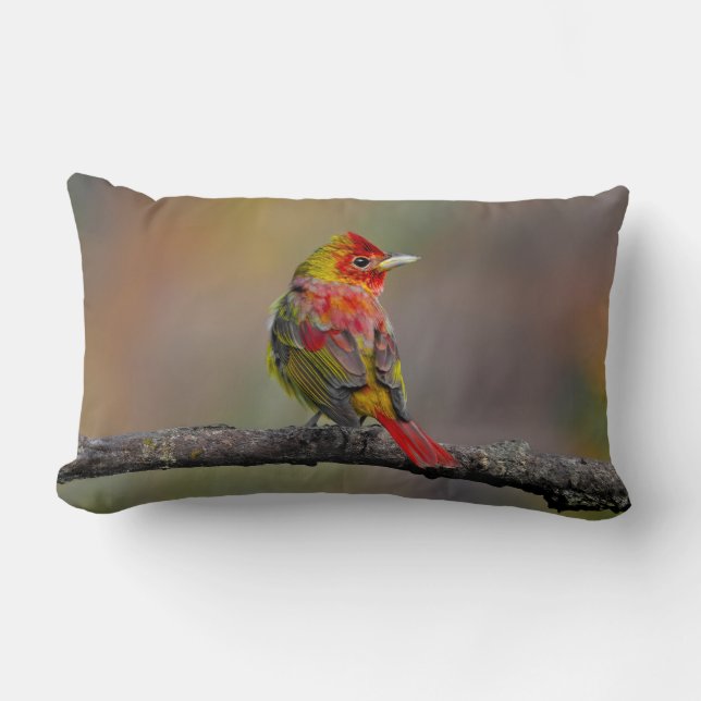 Scarlet Tanager-formning - originalfoto Lumbarkudde (Framsida)