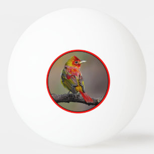 Scarlet Tanager-formning - originalfoto Pingisboll