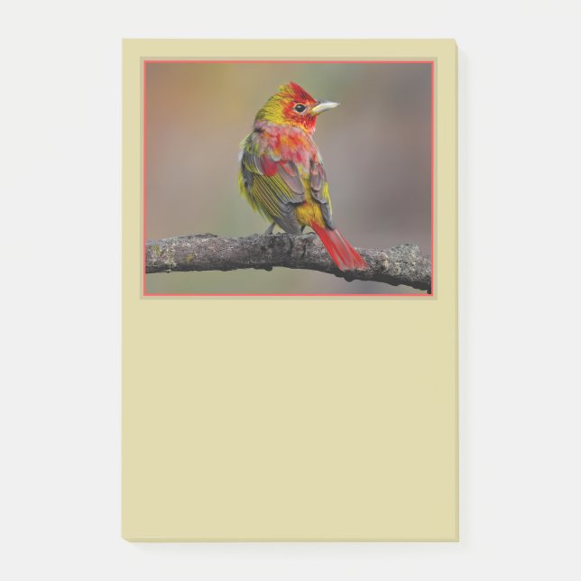 Scarlet Tanager-formning - originalfoto Post-it Block (Framsida)