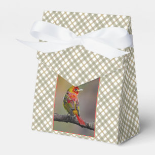 Scarlet Tanager-formning - originalfoto Presentaskar