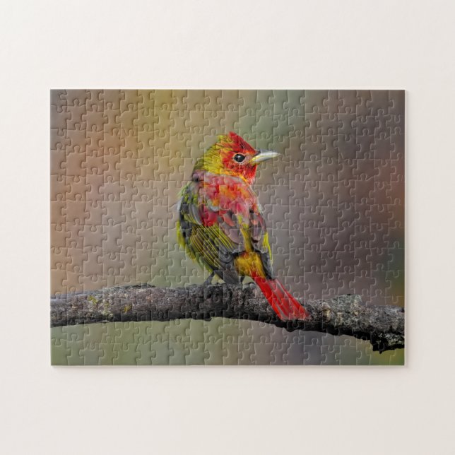 Scarlet Tanager-formning - originalfoto Pussel (Horisontell)