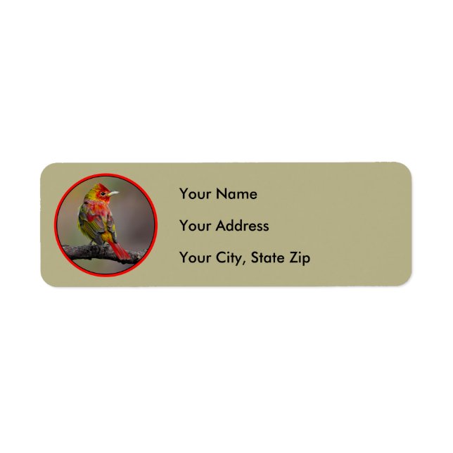 Scarlet Tanager-formning - originalfoto Returadress Etikett (Framsidan)