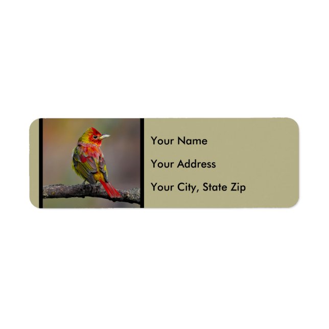 Scarlet Tanager-formning - originalfoto Returadress Etikett (Framsidan)