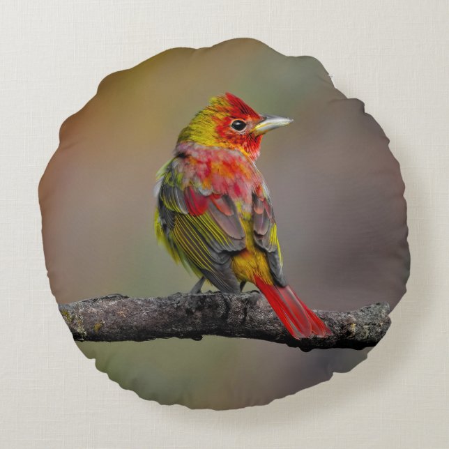 Scarlet Tanager-formning - originalfoto Rund Kudde (Baksidan)