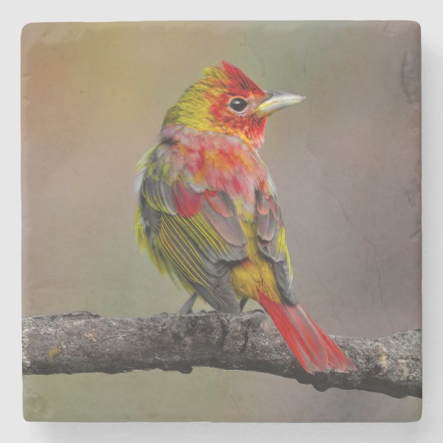 Scarlet Tanager-formning - originalfoto Stenunderlägg (Framsidan)