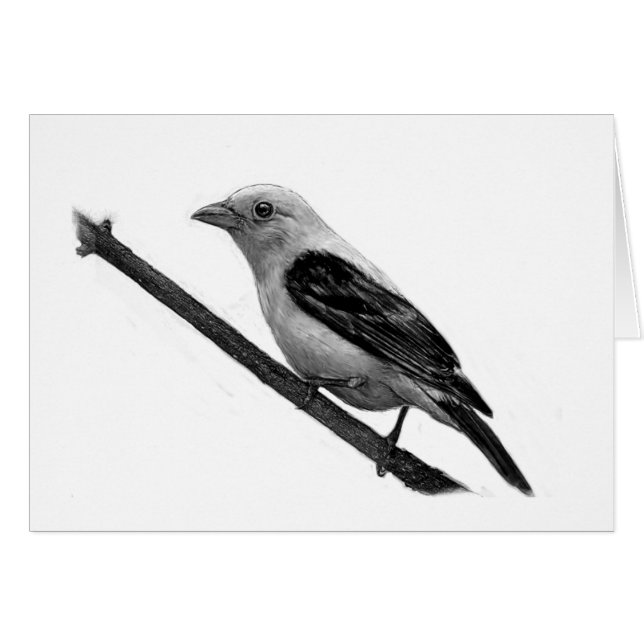 Scarlet Tanager Hälsningskort (Framsidan Horizontal)