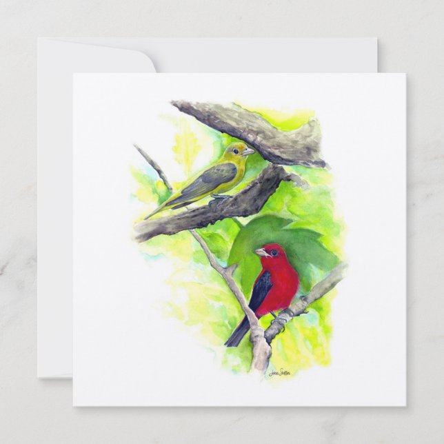 Scarlet Tanager Lite Art (Framsida)