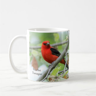 Scarlet Tanager Mugg efter BirdingCollectibles