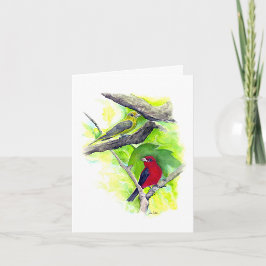 Scarlet Tanager, par anteckningskort