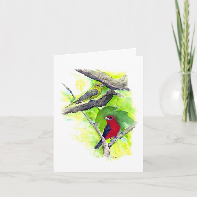Scarlet Tanager, par anteckningskort (Scarlet Tanager Couple Blank Note Cards from Jenn Steffen Art)