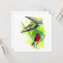 Scarlet Tanager, par anteckningskort