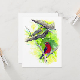 Scarlet Tanager, par anteckningskort
