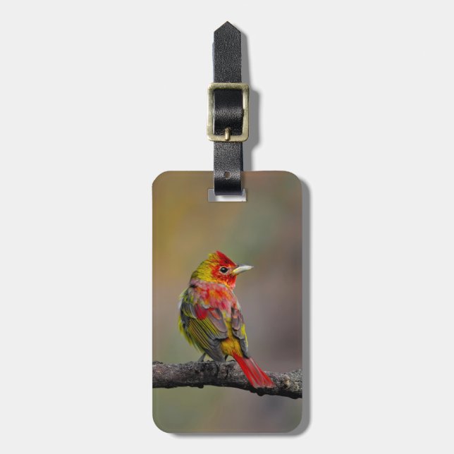 Scarlet Tanager Ryggar - Original Fotografi Bagagebricka (Vertikal Framsida)