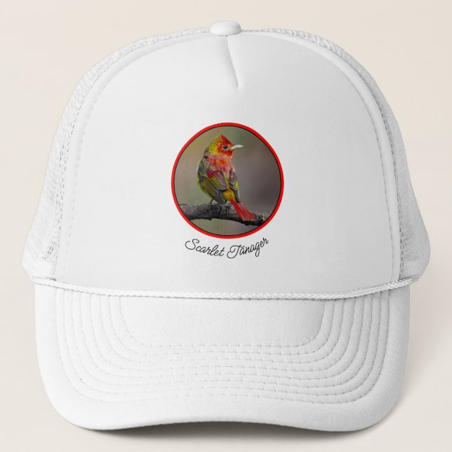 Scarlet Tanager Ryggar - Original Fotografi Keps (Framsida)