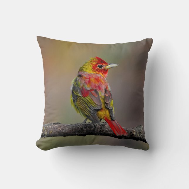 Scarlet Tanager Ryggar - Original Fotografi Kudde (Framsida)