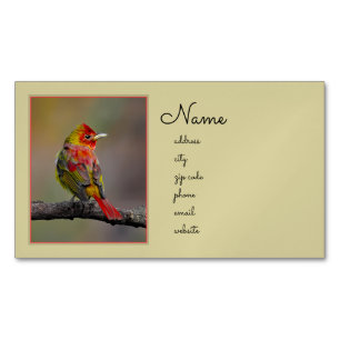 Scarlet Tanager Ryggar - Original Fotografi Magnetiska Visitkort