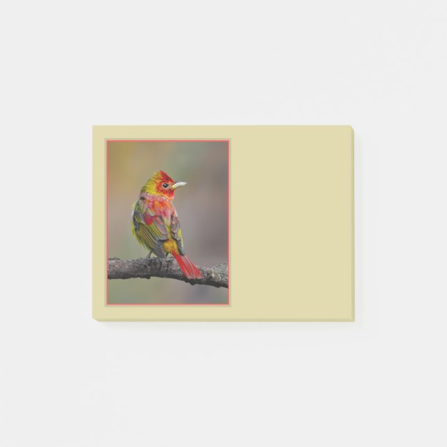 Scarlet Tanager Ryggar - Original Fotografi Post-it Block (Framsida)