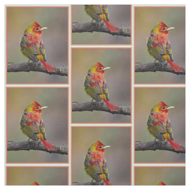 Scarlet Tanager Ryggar - Original Fotografi Tyg (Provkarta)