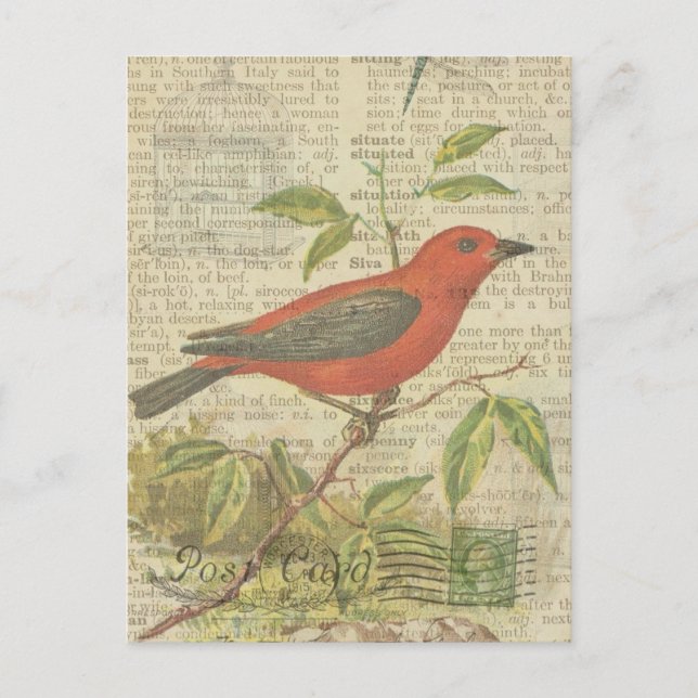 Scarlet Tanager Vintage Bird Birdcage Dragonfly Vykort (Framsida)
