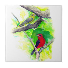 Scarlet Tanagers Birds Watercolor Painting Kakelplatta