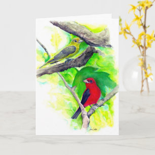 Scarlet Tanagers Birds Watercolor Painting Kort