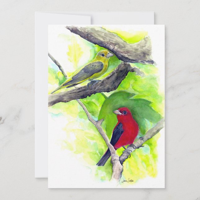 Scarlet Tanagers Birds Watercolor Painting Tack Kort (Framsida)