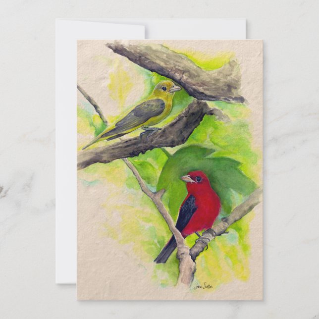 Scarlet Tanagers Birds Watercolor Tack (Framsida)