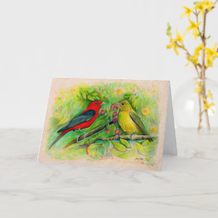Scarlet Tanagers Watercolor Färgpenna Teckning Kort