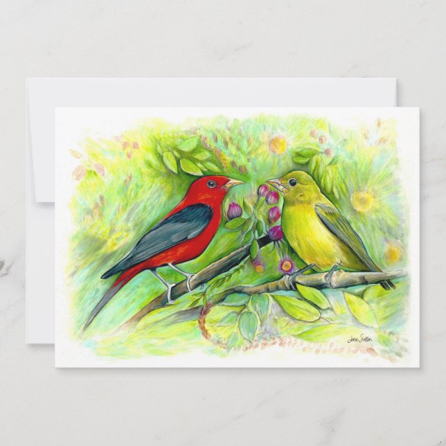 Scarlet Tanagers Watercolor Färgpenna Teckning Tack Kort (Framsida)