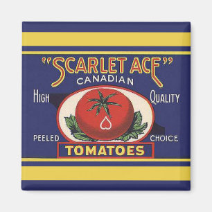 Scarlet topp- tomatmagnet magnet