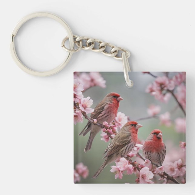 "Scarlet Trio: Röda finkar bland rosa blomningar" (Framsidan)
