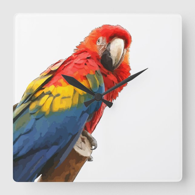 Scarlet: Väggspärr för Macaw-kvadrat Fyrkantig Klocka (Framsida)