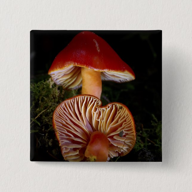 Scarlet Waxcap Mushroom Knapp (Framsida)