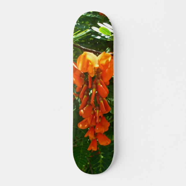 Scarlet Wisteria (Sesbania punicea) Skateboard (Framsida)