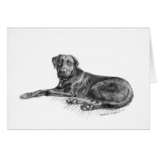 Scarlett det svart laboratoriumet hälsningskort