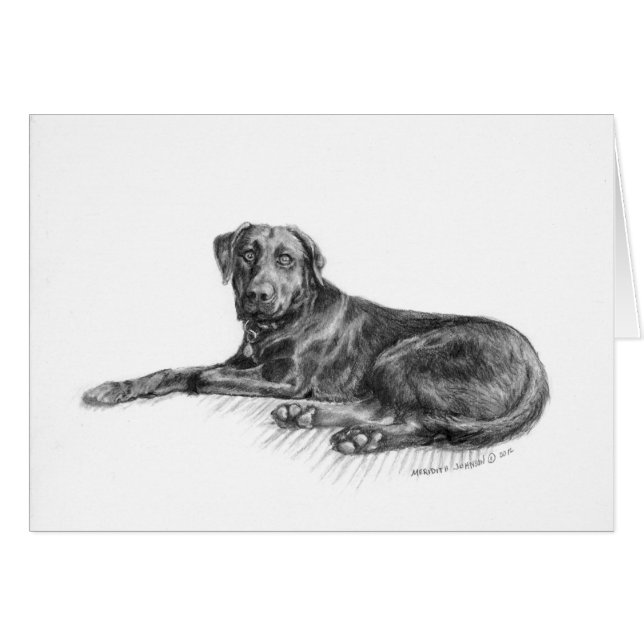 Scarlett det svart laboratoriumet hälsningskort (Framsidan Horizontal)