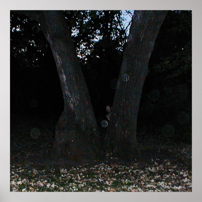 Scary Älva Poster (Framsidan)