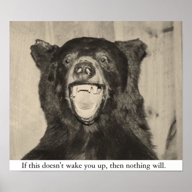 Scary Bear Poster (Framsidan)