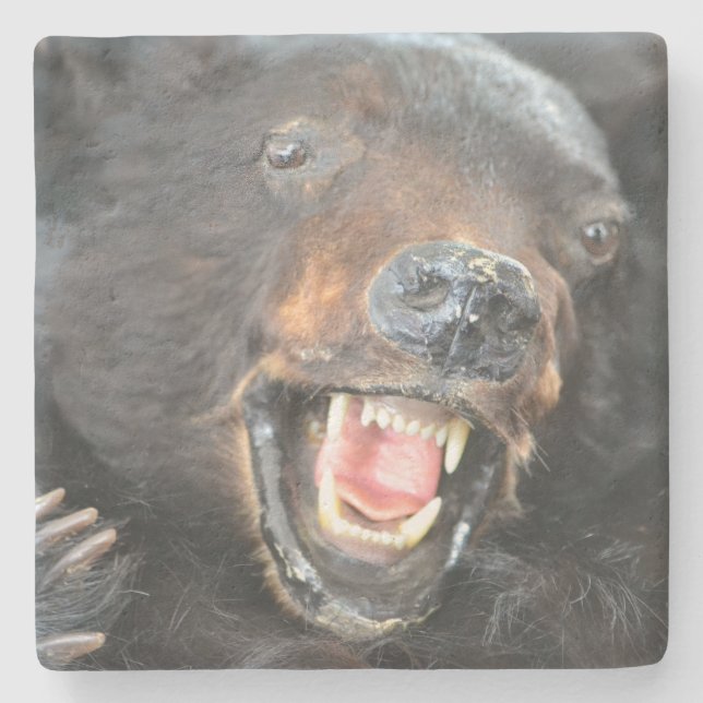 Scary Bear Stenunderlägg (Framsidan)