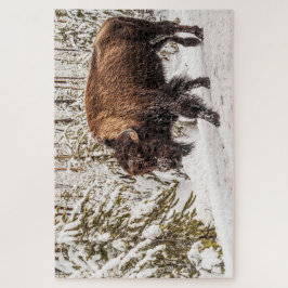 Scary Bison (Bison bison) - Buffalo - 1014 biet Pussel