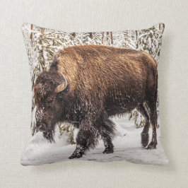 Scary Bison (Bison bison) - Buffalo - Snö Kudde