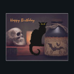 Scary Black Cat och Skull Halloween Grattis på föd Vykort<br><div class="desc">Det här Halloween-vykortet från Grattis på födelsedagen har en läskigt svart katt och läskskalle med en bild flaska. Hälsning kan ändras...  Tillbaka Hälsning ~ Önskar dig mycket Grattis på födelsedagen! Hoppas det får dig att vilja skrika. *</div>