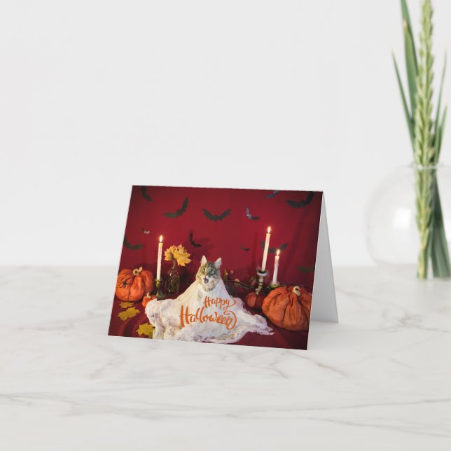 Scary Cat in Funny Halloween Costume Kort (Framsida)