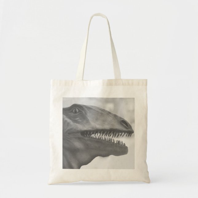 Scary Dinosaur Tygkasse (Framsidan)