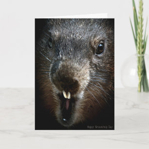 Scary Groundhog Day Card Helgkort