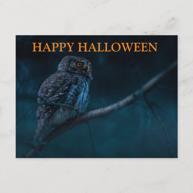 Scary Halloween Natt med Uggla vykort (Framsida)