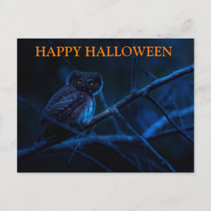 Scary Halloween Natt med Uggla vykort